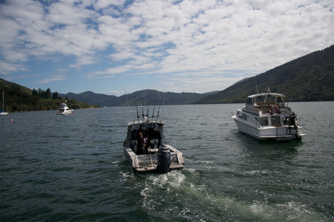 Furneaux Lodge Photography