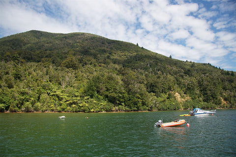 Furneaux Lodge Photography