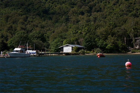 Furneaux Lodge Photography