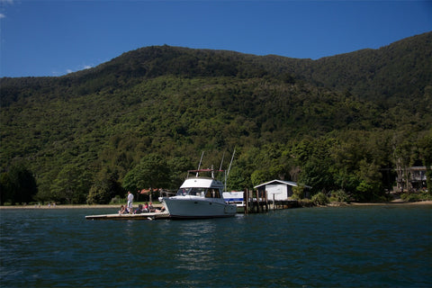 Furneaux Lodge Photography