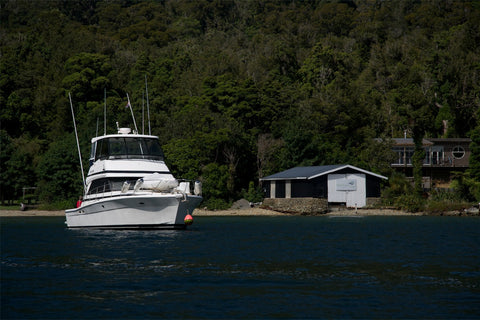 Furneaux Lodge Photography
