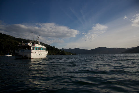 Furneaux Lodge Photography