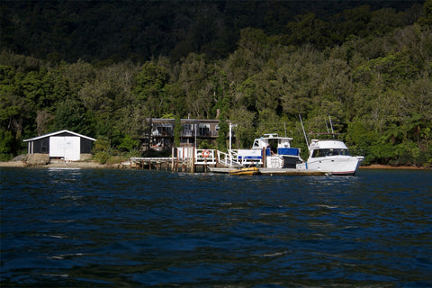 Furneaux Lodge Photography