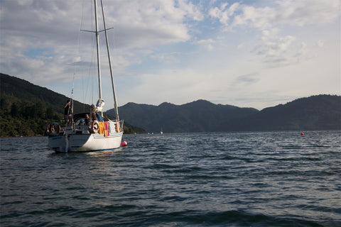 Furneaux Lodge Photography